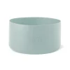 Sea Glass Sage