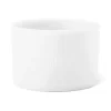 Winter White