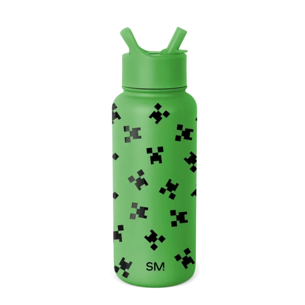 Minecraft Summit Water Bottle with Straw Lid