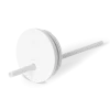 Winter White